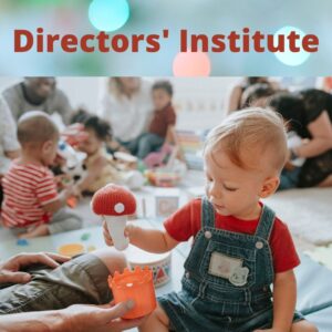 Directors Institute