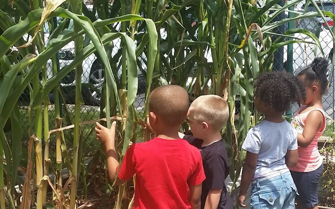Outdoor Learning Environment Tours for Early Educators: Session II