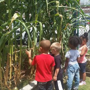 Outdoor Learning Environment Tours for Early Educators: Session I @ The Kids of Hope