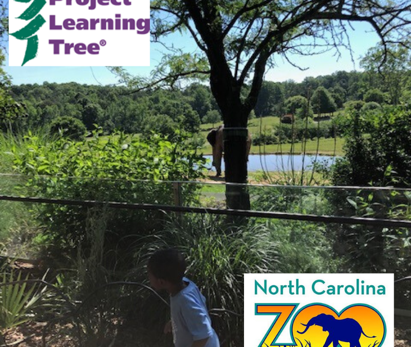 Project Learning Tree SESSION II