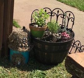 The fairy garden awaits!