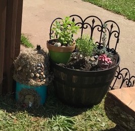 Sage and sunshine in the fairy garden