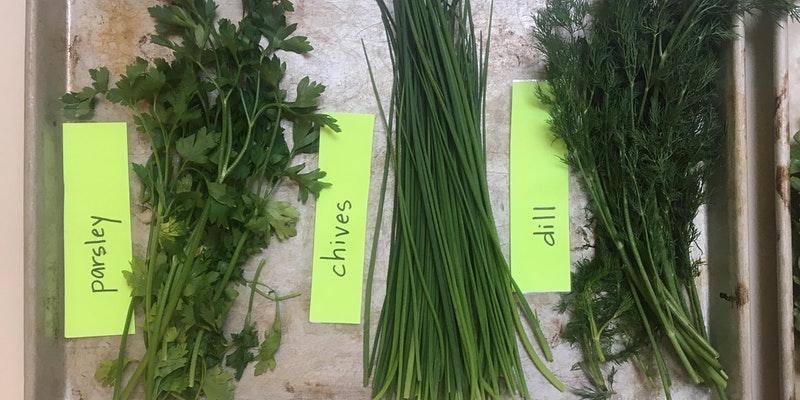 Supporting Language Learners in the Kitchen Classroom