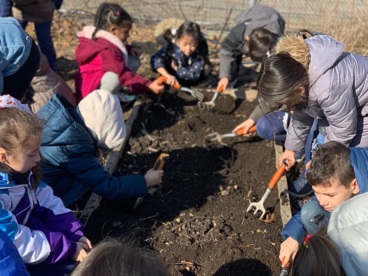Explore Edible Schoolyard NYC’s Virtual Lessons