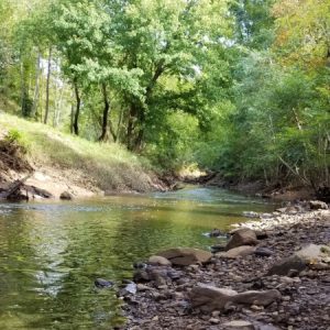 Community of Learners Symposium: Partnering with the Environment as a Third Teacher—The Healing Power of Nature @ Online via ZOOM