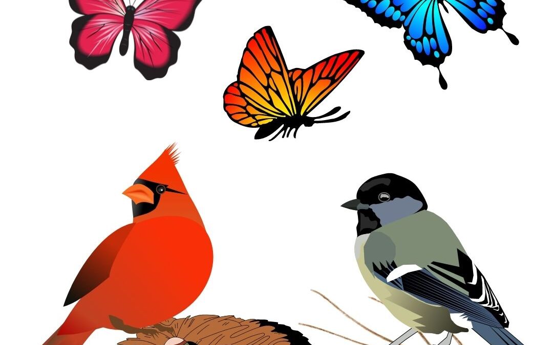 Birds & Butterflies to Explore Through Movement & Play