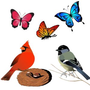 Birds and Butterflies