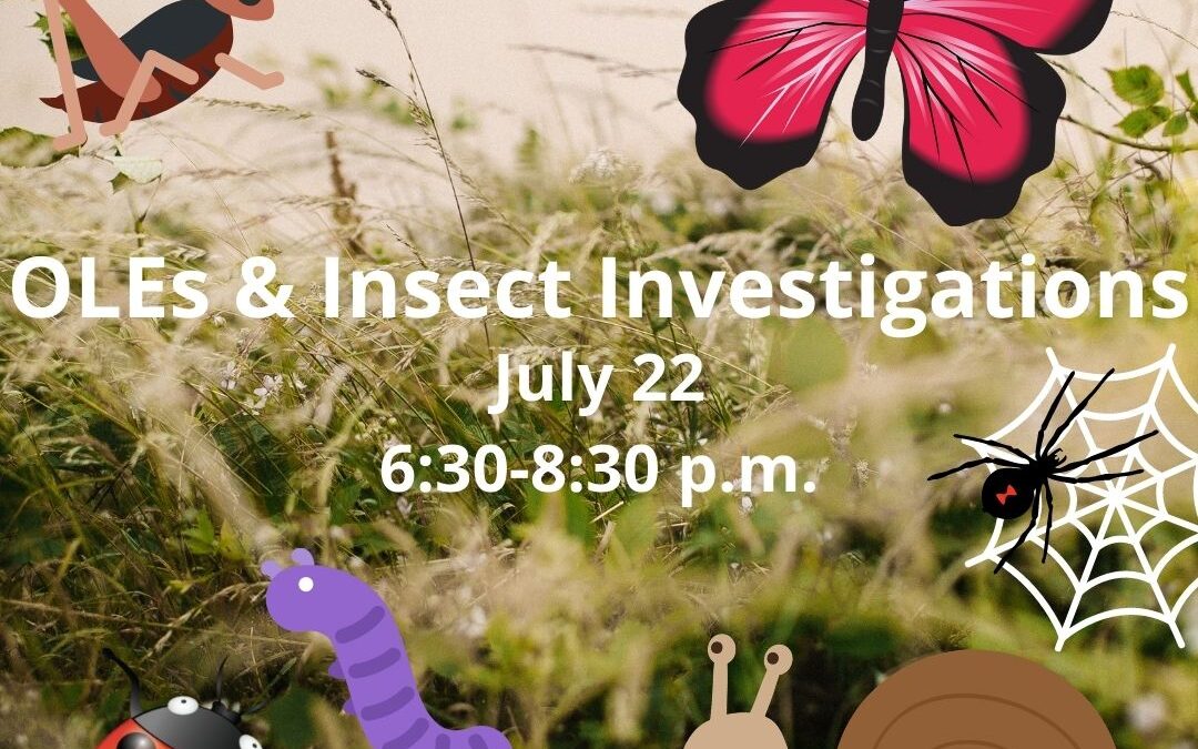 Connecting Outdoor Learning Environments with Insect Investigations