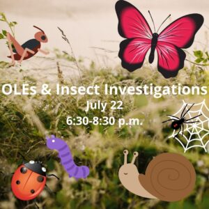 Connecting Outdoor Learning Environments with Insect Investigations @ The Children's Center