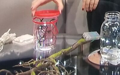 Calming and Comforting Lighting—Soothing for Children & Adults During Holiday Seasons!