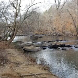 Director's Institute: Nature Retreat @ Randleman Deep River Nature Trail